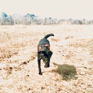 Meet your Posher, Kevin